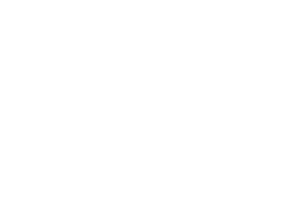 Logo brenda Lava, bele boje sa stilizovanim natpisom i biljnim detaljima
